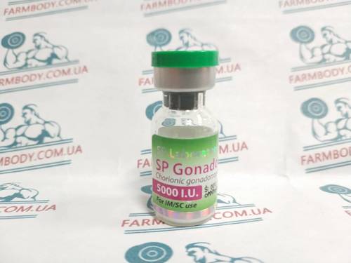 SP Labs Chorionic Gonadotropin (Хорионический гонадотропин)